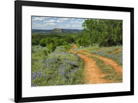 Rural road through Texas bluebonnets, Texas hill country.-Adam Jones-Framed Photographic Print