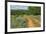 Rural road through Texas bluebonnets, Texas hill country.-Adam Jones-Framed Photographic Print