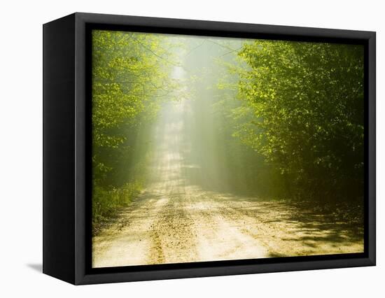 Rural Road-Jim Craigmyle-Framed Stretched Canvas