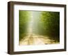 Rural Road-Jim Craigmyle-Framed Photographic Print