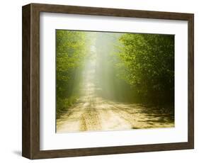 Rural Road-Jim Craigmyle-Framed Photographic Print