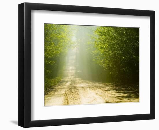 Rural Road-Jim Craigmyle-Framed Photographic Print