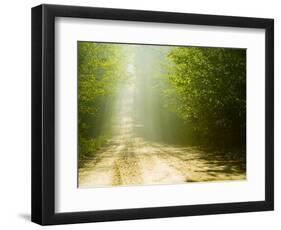 Rural Road-Jim Craigmyle-Framed Photographic Print