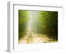 Rural Road-Jim Craigmyle-Framed Photographic Print