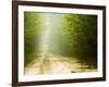 Rural Road-Jim Craigmyle-Framed Photographic Print