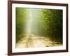 Rural Road-Jim Craigmyle-Framed Photographic Print