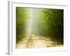 Rural Road-Jim Craigmyle-Framed Photographic Print