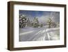 Rural Road-Buddy Mays-Framed Photographic Print