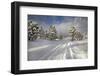 Rural Road-Buddy Mays-Framed Photographic Print