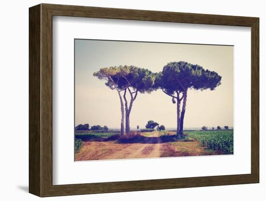 Rural Road-gkuna-Framed Photographic Print