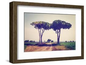 Rural Road-gkuna-Framed Photographic Print