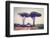 Rural Road-gkuna-Framed Photographic Print