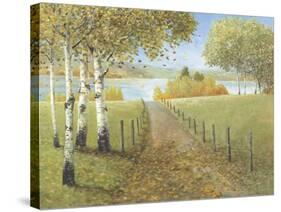 Rural Route I-Arnie Fisk-Stretched Canvas