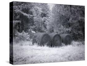 Rural Scene In Alabama-Carol Highsmith-Stretched Canvas