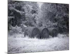 Rural Scene In Alabama-Carol Highsmith-Mounted Art Print
