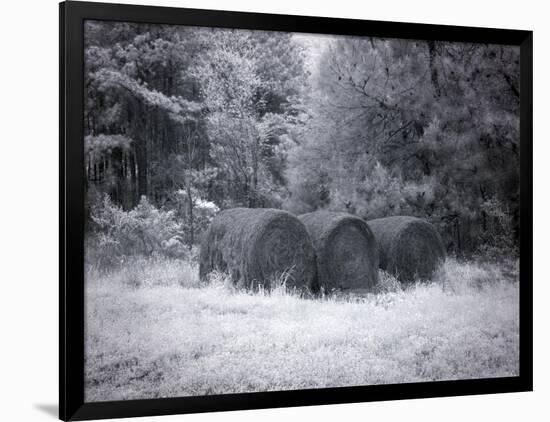 Rural Scene In Alabama-Carol Highsmith-Framed Art Print