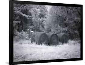 Rural Scene In Alabama-Carol Highsmith-Framed Art Print