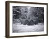 Rural Scene In Alabama-Carol Highsmith-Framed Art Print