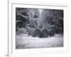 Rural Scene In Alabama-Carol Highsmith-Framed Art Print