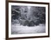 Rural Scene In Alabama-Carol Highsmith-Framed Art Print