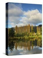 Rural Scene, Maydena, Tasmania, Australia, Pacific-Jochen Schlenker-Stretched Canvas