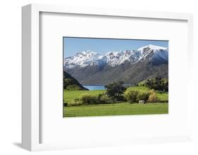 Rural scene of Lake Wanaka backed by snow capped mountains, New Zealand-Ed Rhodes-Framed Photographic Print