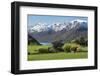 Rural scene of Lake Wanaka backed by snow capped mountains, New Zealand-Ed Rhodes-Framed Photographic Print