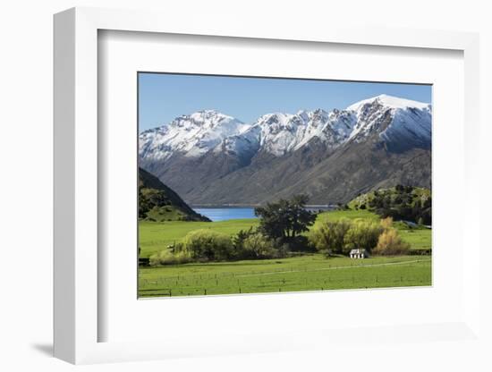 Rural scene of Lake Wanaka backed by snow capped mountains, New Zealand-Ed Rhodes-Framed Photographic Print