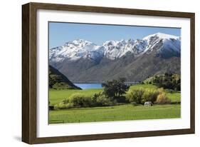 Rural scene of Lake Wanaka backed by snow capped mountains, New Zealand-Ed Rhodes-Framed Photographic Print