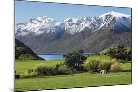 Rural scene of Lake Wanaka backed by snow capped mountains, New Zealand-Ed Rhodes-Mounted Photographic Print