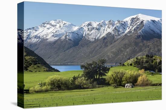 Rural scene of Lake Wanaka backed by snow capped mountains, New Zealand-Ed Rhodes-Stretched Canvas