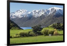 Rural scene of Lake Wanaka backed by snow capped mountains, New Zealand-Ed Rhodes-Framed Photographic Print