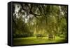 Rural Scene with Garden Benches under a Large Willow Tree-Jody Miller-Framed Stretched Canvas