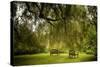 Rural Scene with Garden Benches under a Large Willow Tree-Jody Miller-Stretched Canvas