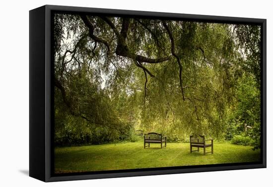 Rural Scene with Garden Benches under a Large Willow Tree-Jody Miller-Framed Stretched Canvas