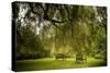Rural Scene with Garden Benches under a Large Willow Tree-Jody Miller-Stretched Canvas