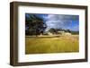 Rural Scene with Ruins of Palace, Labna, Yucatan, Mexico-Massimo Borchi-Framed Photographic Print