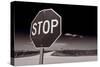 Rural Stop Sign BW-Steve Gadomski-Stretched Canvas