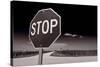 Rural Stop Sign BW-Steve Gadomski-Stretched Canvas