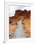 Rural Trail Through Desert-Beathan-Framed Photographic Print