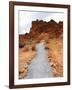 Rural Trail Through Desert-Beathan-Framed Photographic Print