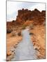 Rural Trail Through Desert-Beathan-Mounted Photographic Print