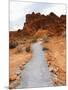 Rural Trail Through Desert-Beathan-Mounted Photographic Print