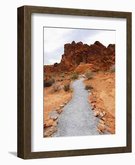 Rural Trail Through Desert-Beathan-Framed Photographic Print