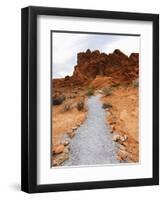 Rural Trail Through Desert-Beathan-Framed Photographic Print