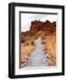 Rural Trail Through Desert-Beathan-Framed Photographic Print