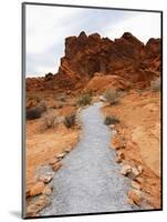 Rural Trail Through Desert-Beathan-Mounted Photographic Print