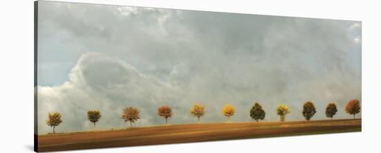 Rural Treasures II - The Glorious Eleven-Ju Riker-Stretched Canvas