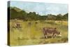 Rural View I-Ethan Harper-Stretched Canvas