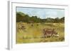 Rural View I-Ethan Harper-Framed Art Print